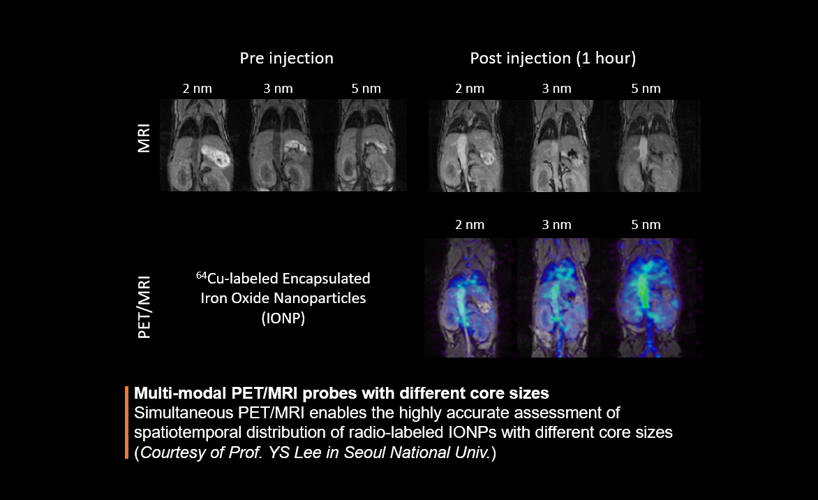 Multi-modal PET/MRI probes with different core sizes